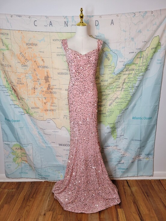 Fashion Nova Dresses & Skirts - Fashion Nova Elegant Pink Velvet Sequin Evening Gown
